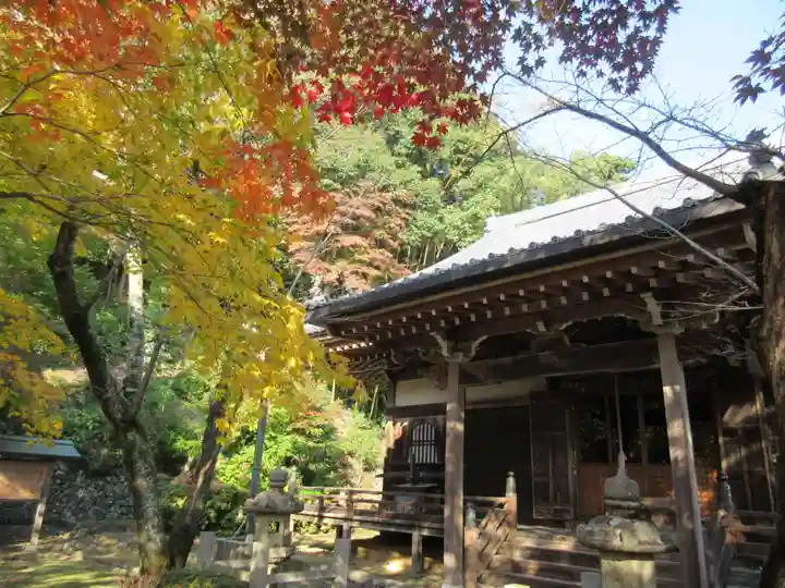 勝持寺(花の寺)の本殿・本堂