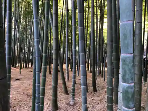 報国寺(神奈川県)