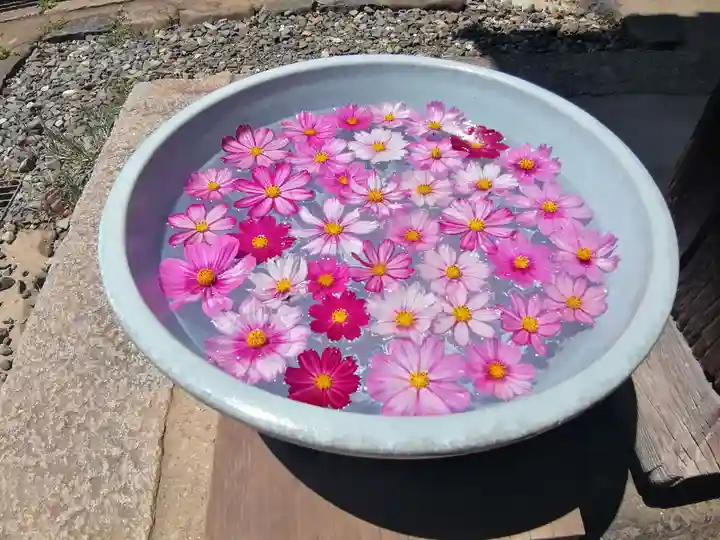般若寺 ❁コスモス寺❁の手水舎