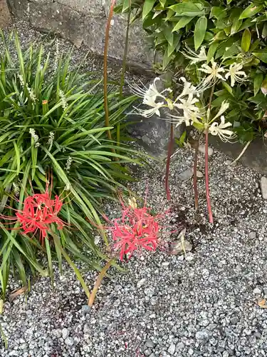 梅香寺(三重県)