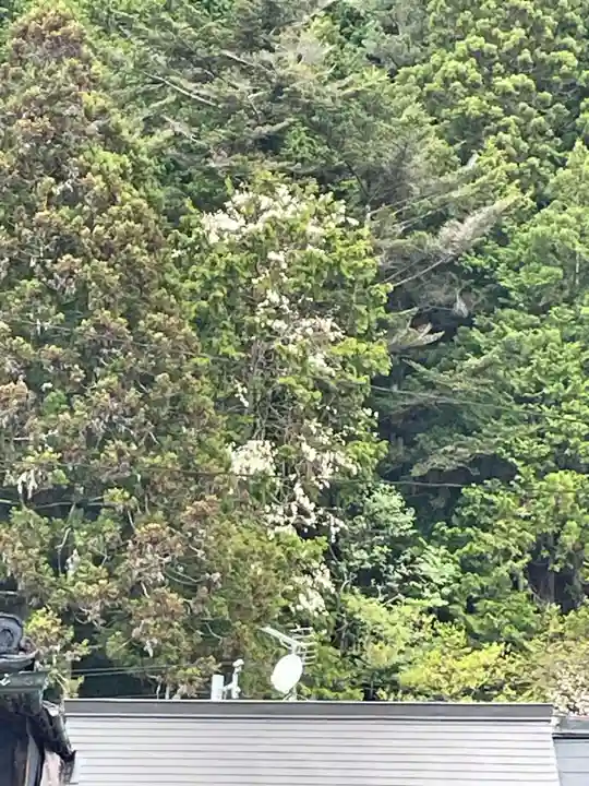 西門院(和歌山県)