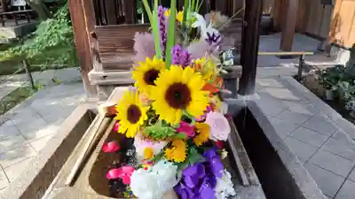 勝林寺(京都府)