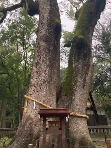 伊弉諾神宮(兵庫県)
