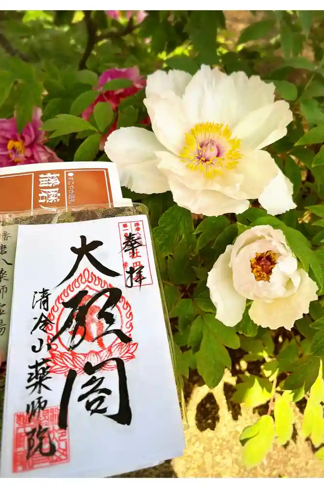 薬師院の御朱印