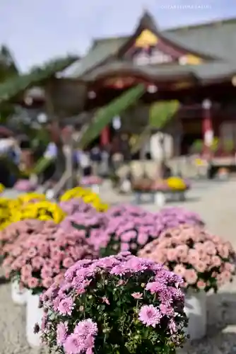 笠間稲荷神社(茨城県)