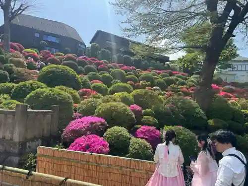 根津神社の{uncategorized: "未分類", other: "その他", undefined: "問題あり", building: "その他建物", grave: "お墓", sacred_gate: "鳥居", guardian: "狛犬", statue: "像", buddha: "仏像", history: "歴史", nature: "自然", garden: "庭園", animal: "動物", pagoda: "塔", temizu: "手水舎", mountain_gate: "山門・神門", sanctuary: "本殿・本堂", subordinate: "末社・摂社", art: "芸術", scenery: "景色", jizo: "地蔵", ema: "絵馬", goshuin: "御朱印", omikuji: "おみくじ", items: "授与品その他", amulet: "お守り", goshuincho: "御朱印帳", eats: "食事", festival: "お祭り", votive_dance: "神楽", shichigosan: "七五三参", wedding: "結婚式", experience: "体験その他", initially: "初詣", around: "周辺", anti_infection: "感染症対策"}