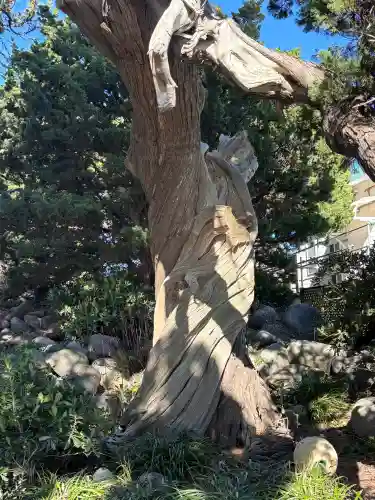 大瀬神社の{uncategorized: "未分類", other: "その他", undefined: "問題あり", building: "その他建物", grave: "お墓", sacred_gate: "鳥居", guardian: "狛犬", statue: "像", buddha: "仏像", history: "歴史", nature: "自然", garden: "庭園", animal: "動物", pagoda: "塔", temizu: "手水舎", mountain_gate: "山門・神門", sanctuary: "本殿・本堂", subordinate: "末社・摂社", art: "芸術", scenery: "景色", jizo: "地蔵", ema: "絵馬", goshuin: "御朱印", omikuji: "おみくじ", items: "授与品その他", amulet: "お守り", goshuincho: "御朱印帳", eats: "食事", festival: "お祭り", votive_dance: "神楽", shichigosan: "七五三参", wedding: "結婚式", experience: "体験その他", initially: "初詣", around: "周辺", anti_infection: "感染症対策"}