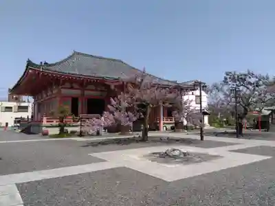 津観音(三重県)