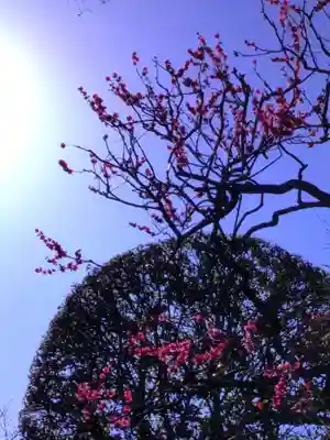 東長谷寺　薬王院(東京都)