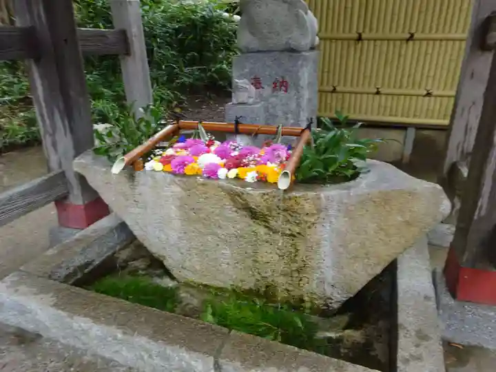 田間神社(千葉県)