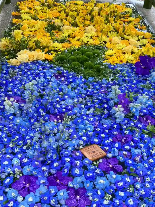 住吉神社の手水舎