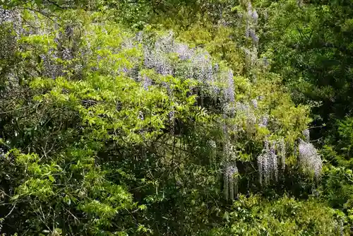 厳島神社(山口県)