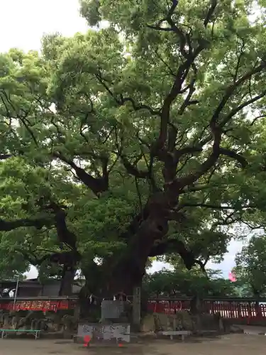 宇美八幡宮(福岡県)
