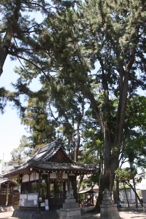 樹下神社(滋賀県)