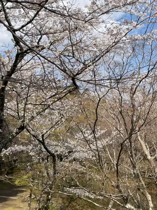 勝持寺(花の寺)(京都府)