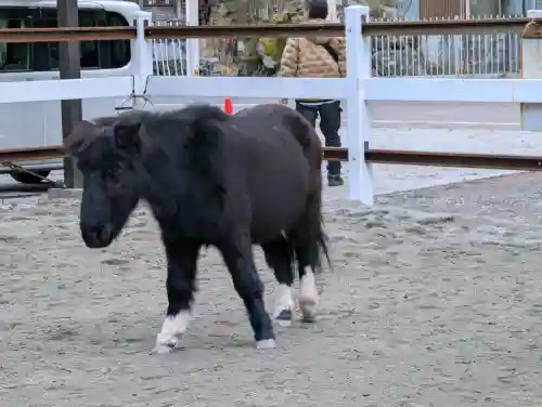 丹生川上神社（下社）の{uncategorized: "未分類", other: "その他", undefined: "問題あり", building: "その他建物", grave: "お墓", sacred_gate: "鳥居", guardian: "狛犬", statue: "像", buddha: "仏像", history: "歴史", nature: "自然", garden: "庭園", animal: "動物", pagoda: "塔", temizu: "手水舎", mountain_gate: "山門・神門", sanctuary: "本殿・本堂", subordinate: "末社・摂社", art: "芸術", scenery: "景色", jizo: "地蔵", ema: "絵馬", goshuin: "御朱印", omikuji: "おみくじ", items: "授与品その他", amulet: "お守り", goshuincho: "御朱印帳", eats: "食事", festival: "お祭り", votive_dance: "神楽", shichigosan: "七五三参", wedding: "結婚式", experience: "体験その他", initially: "初詣", around: "周辺", anti_infection: "感染症対策"}