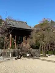 増上寺の建物その他