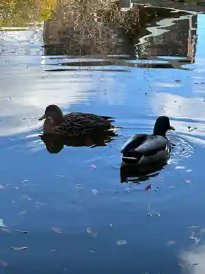 神泉苑(京都府)
