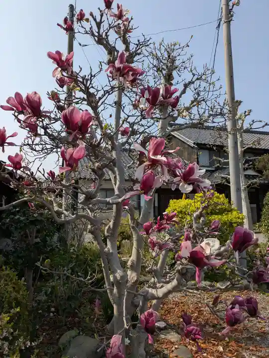 広専寺(岐阜県)