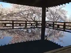 園城寺（三井寺）の建物その他