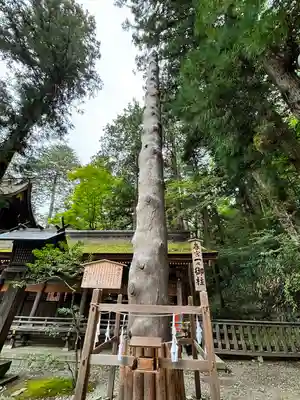 諏訪大社下社春宮(長野県)