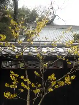 東慶寺の自然