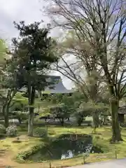 廣隆寺(京都府)