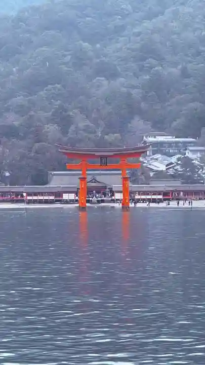 厳島神社の{uncategorized: "未分類", other: "その他", undefined: "問題あり", building: "その他建物", grave: "お墓", sacred_gate: "鳥居", guardian: "狛犬", statue: "像", buddha: "仏像", history: "歴史", nature: "自然", garden: "庭園", animal: "動物", pagoda: "塔", temizu: "手水舎", mountain_gate: "山門・神門", sanctuary: "本殿・本堂", subordinate: "末社・摂社", art: "芸術", scenery: "景色", jizo: "地蔵", ema: "絵馬", goshuin: "御朱印", omikuji: "おみくじ", items: "授与品その他", amulet: "お守り", goshuincho: "御朱印帳", eats: "食事", festival: "お祭り", votive_dance: "神楽", shichigosan: "七五三参", wedding: "結婚式", experience: "体験その他", initially: "初詣", around: "周辺", anti_infection: "感染症対策"}
