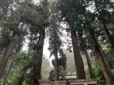 大宮温泉神社(栃木県)
