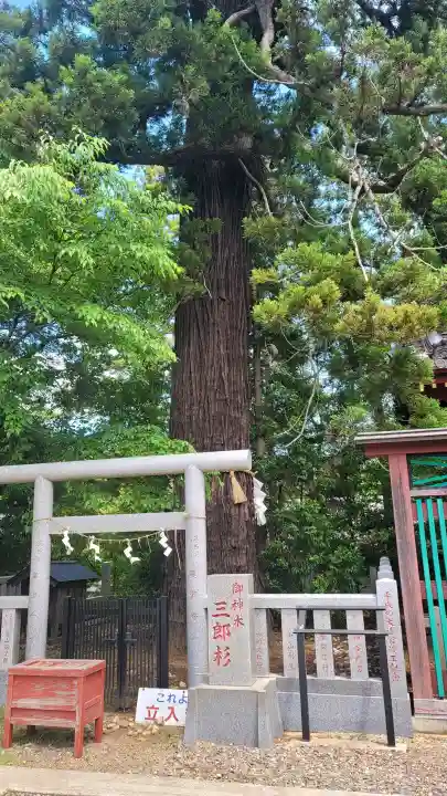 大杉神社 境内社 勝馬神社の{uncategorized: "未分類", other: "その他", undefined: "問題あり", building: "その他建物", grave: "お墓", sacred_gate: "鳥居", guardian: "狛犬", statue: "像", buddha: "仏像", history: "歴史", nature: "自然", garden: "庭園", animal: "動物", pagoda: "塔", temizu: "手水舎", mountain_gate: "山門・神門", sanctuary: "本殿・本堂", subordinate: "末社・摂社", art: "芸術", scenery: "景色", jizo: "地蔵", ema: "絵馬", goshuin: "御朱印", omikuji: "おみくじ", items: "授与品その他", amulet: "お守り", goshuincho: "御朱印帳", eats: "食事", festival: "お祭り", votive_dance: "神楽", shichigosan: "七五三参", wedding: "結婚式", experience: "体験その他", initially: "初詣", around: "周辺", anti_infection: "感染症対策"}