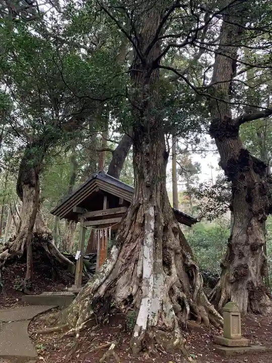 金刀比羅神社(千葉県)