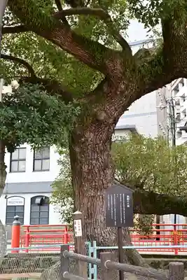 住吉神社(福岡県)