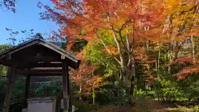 常照寺(京都府)