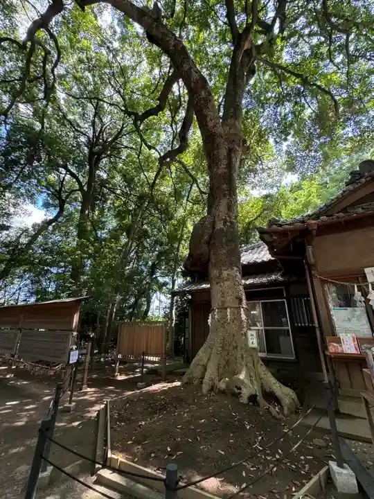 氷川女體神社(埼玉県)