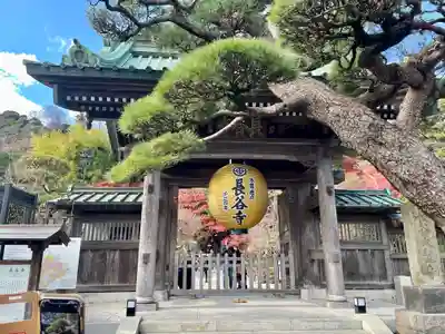 長谷寺の山門・神門