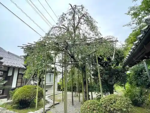 徳乗坊(滋賀県)