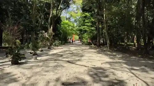 賀茂御祖神社（下鴨神社）の景色