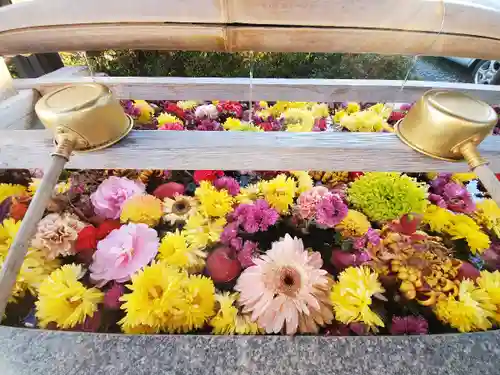 豊景神社の手水