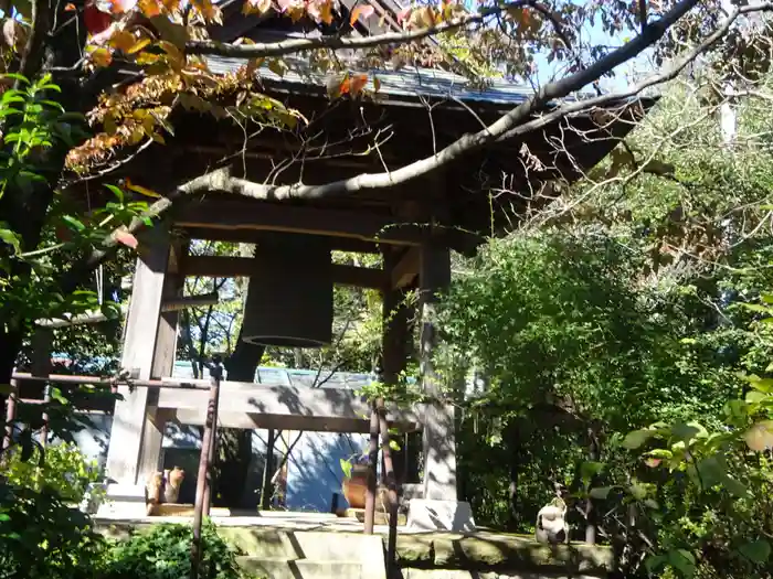 龍峰寺の建物その他