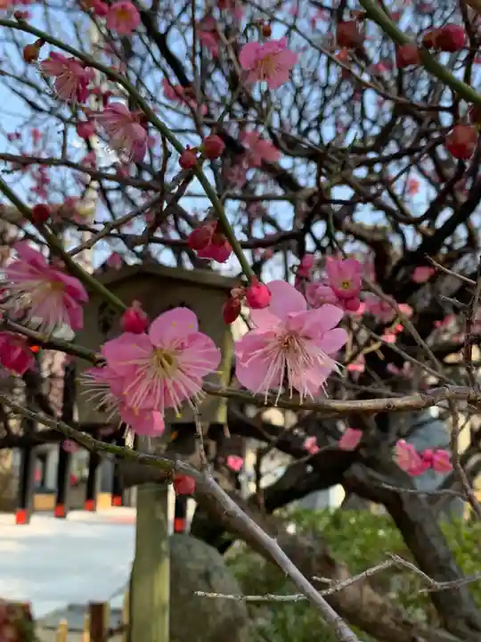 綱敷天満宮の自然