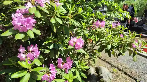 平野神社(京都府)
