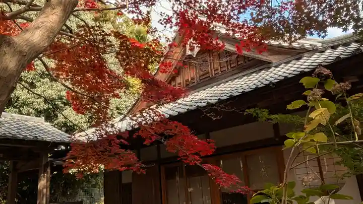 勝持寺(花の寺)(京都府)