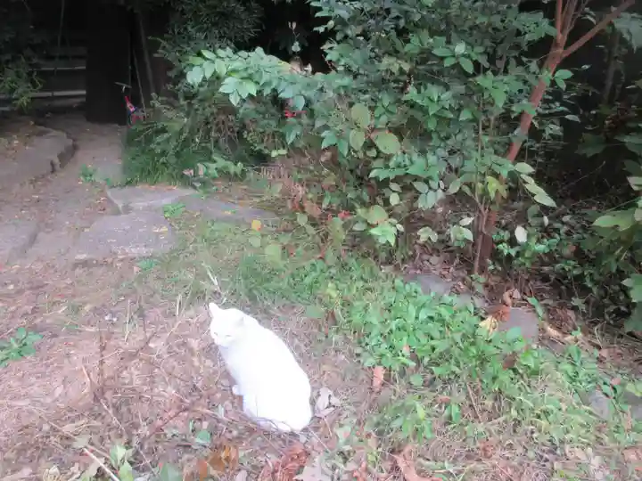 久國神社(東京都)