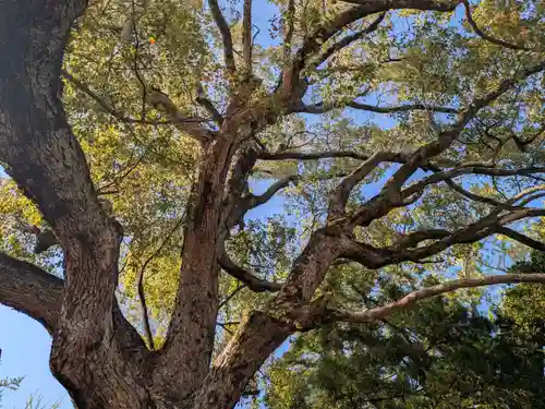 和貴宮神社(京都府)