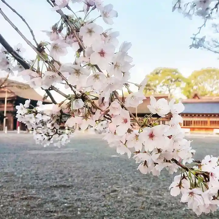 尾張大國霊神社(国府宮)の自然