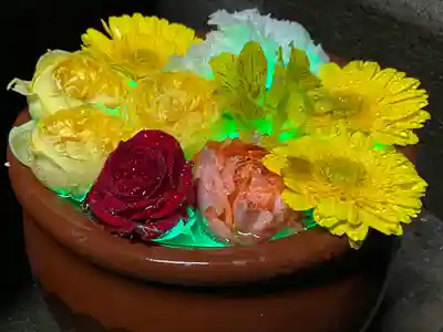 菅生神社(愛知県)