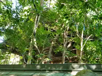 芦屋神社の本殿・本堂