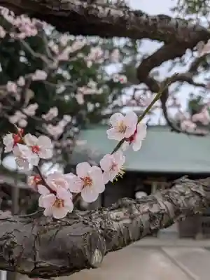 田端神社(東京都)