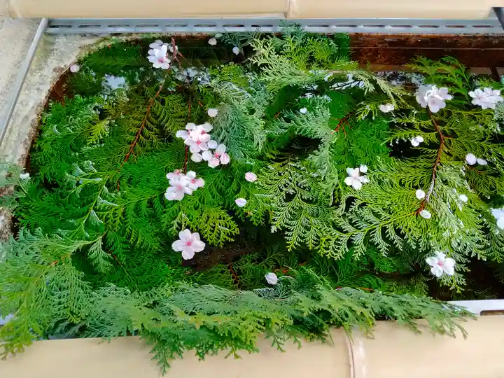 伊太祁曽神社の手水舎