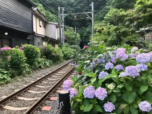御霊神社の周辺